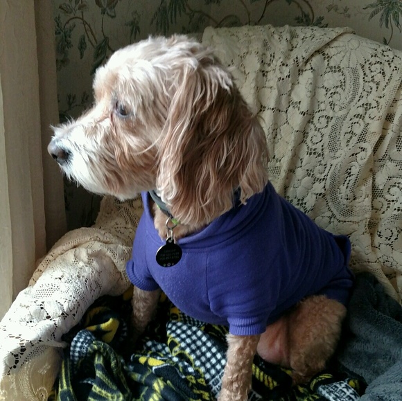 Meet your Posher, Nancy - Picture 1 of 1